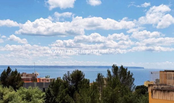 Apartment - Revente -
            Palma - JS-97703