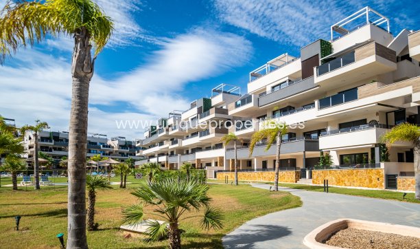 Apartment - Revente - PLAYA FLAMENCA - PLAYA FLAMENCA