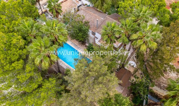 Country Property/Finca - Reventa - Orihuela -
                Orihuela