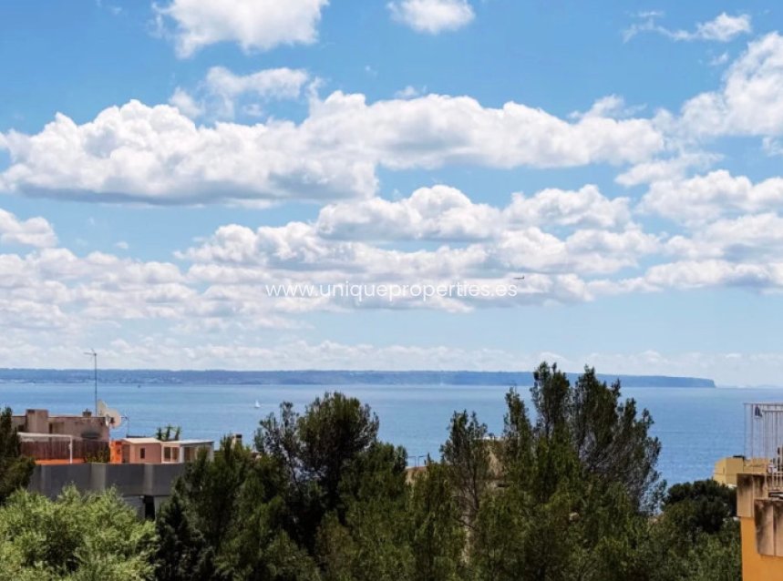 Herverkoop - Apartment -
Palma - Sant Agustí