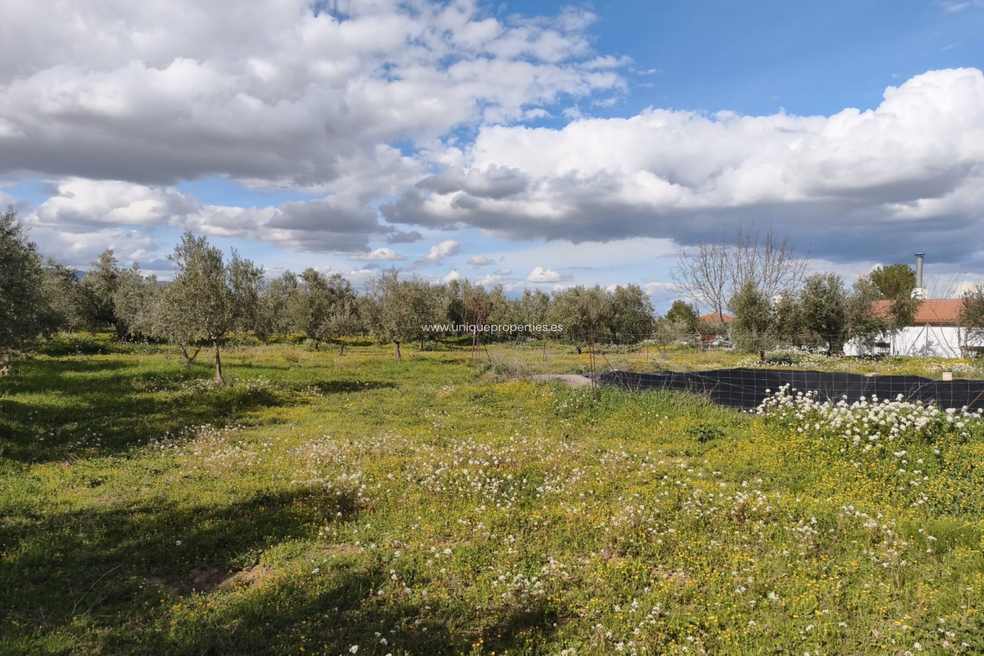Herverkoop - Cortijo -
Baza