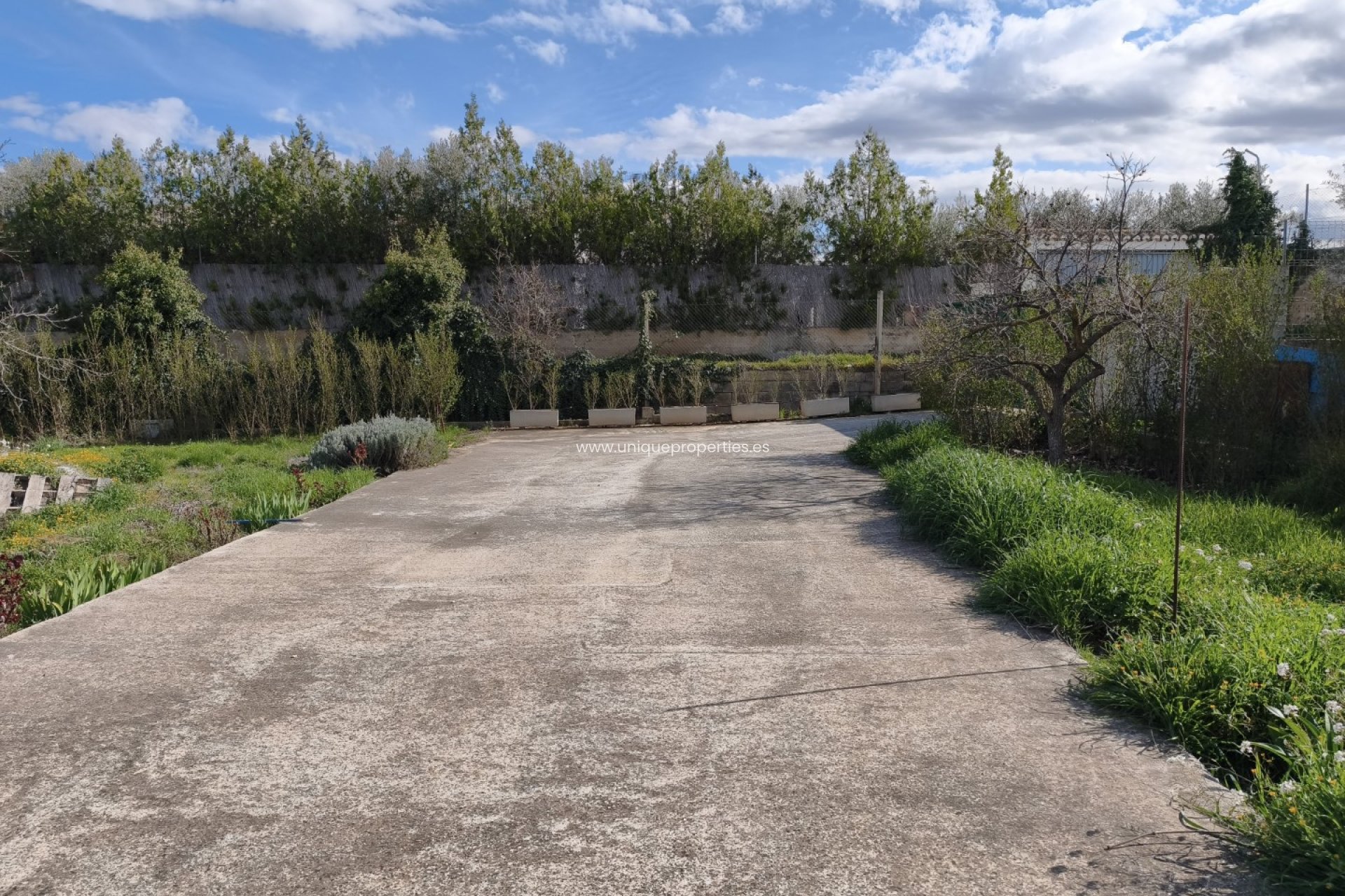 Herverkoop - Cortijo -
Baza