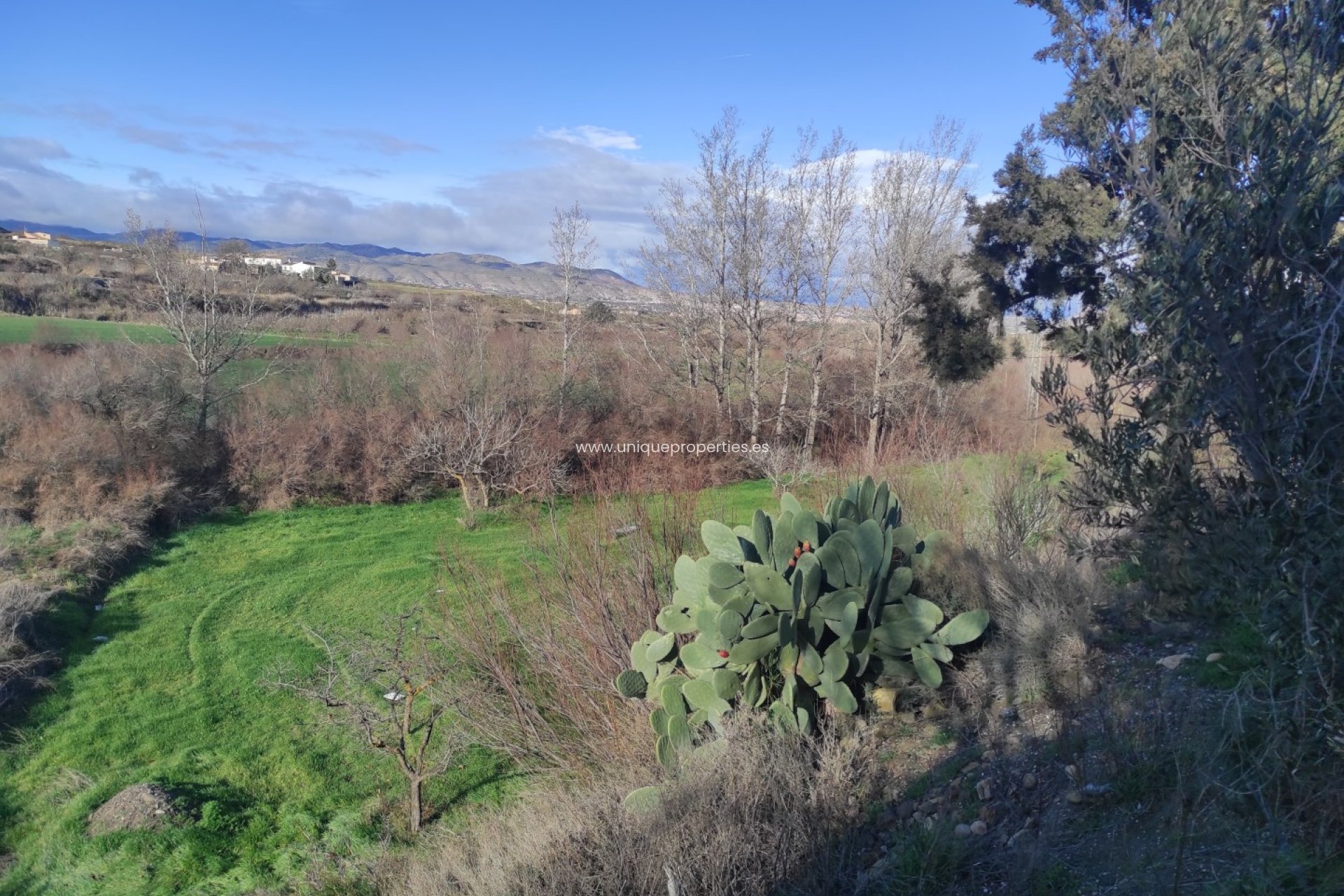 Herverkoop - Cortijo -
Caniles