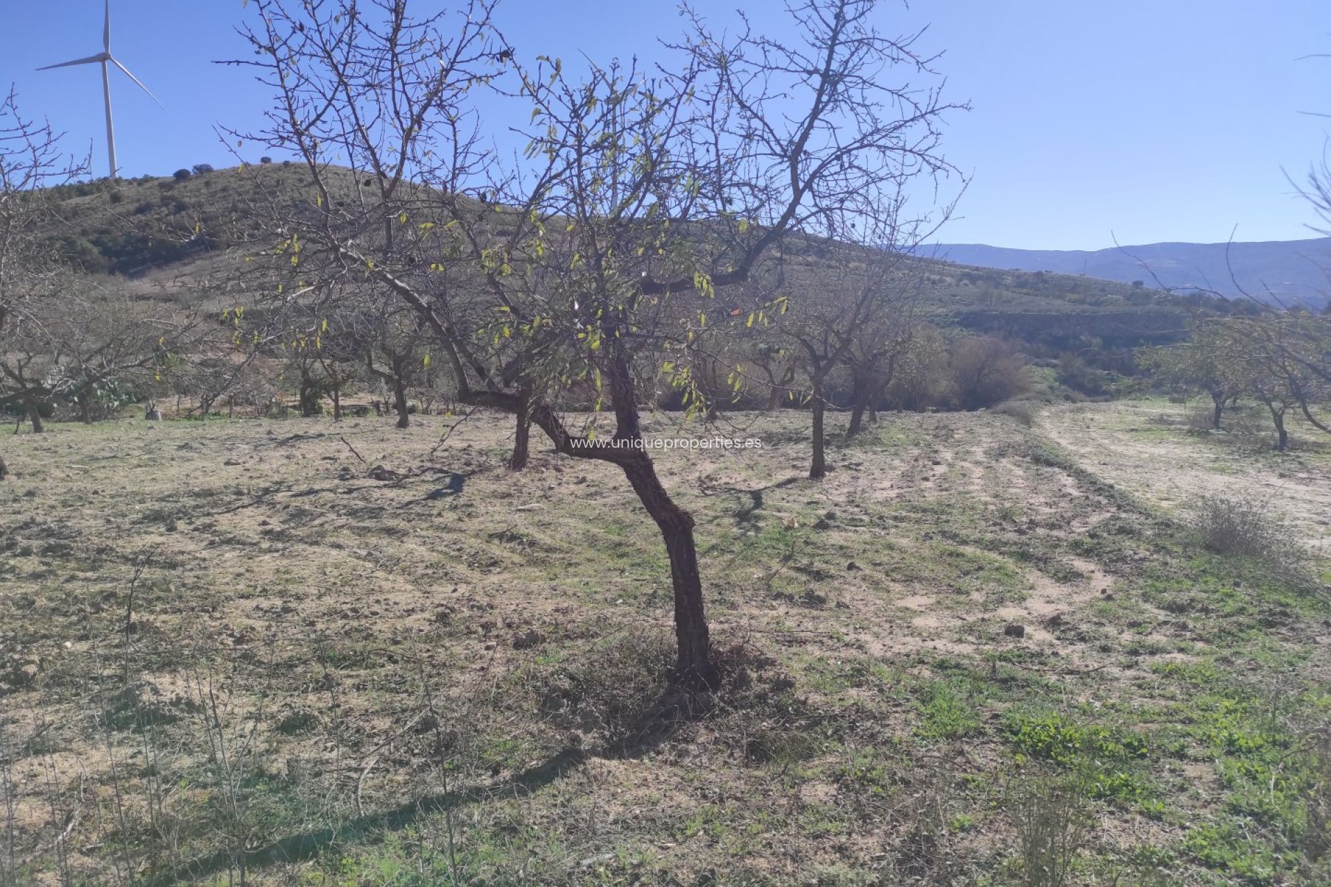 Herverkoop - Cortijo -
El Hijate