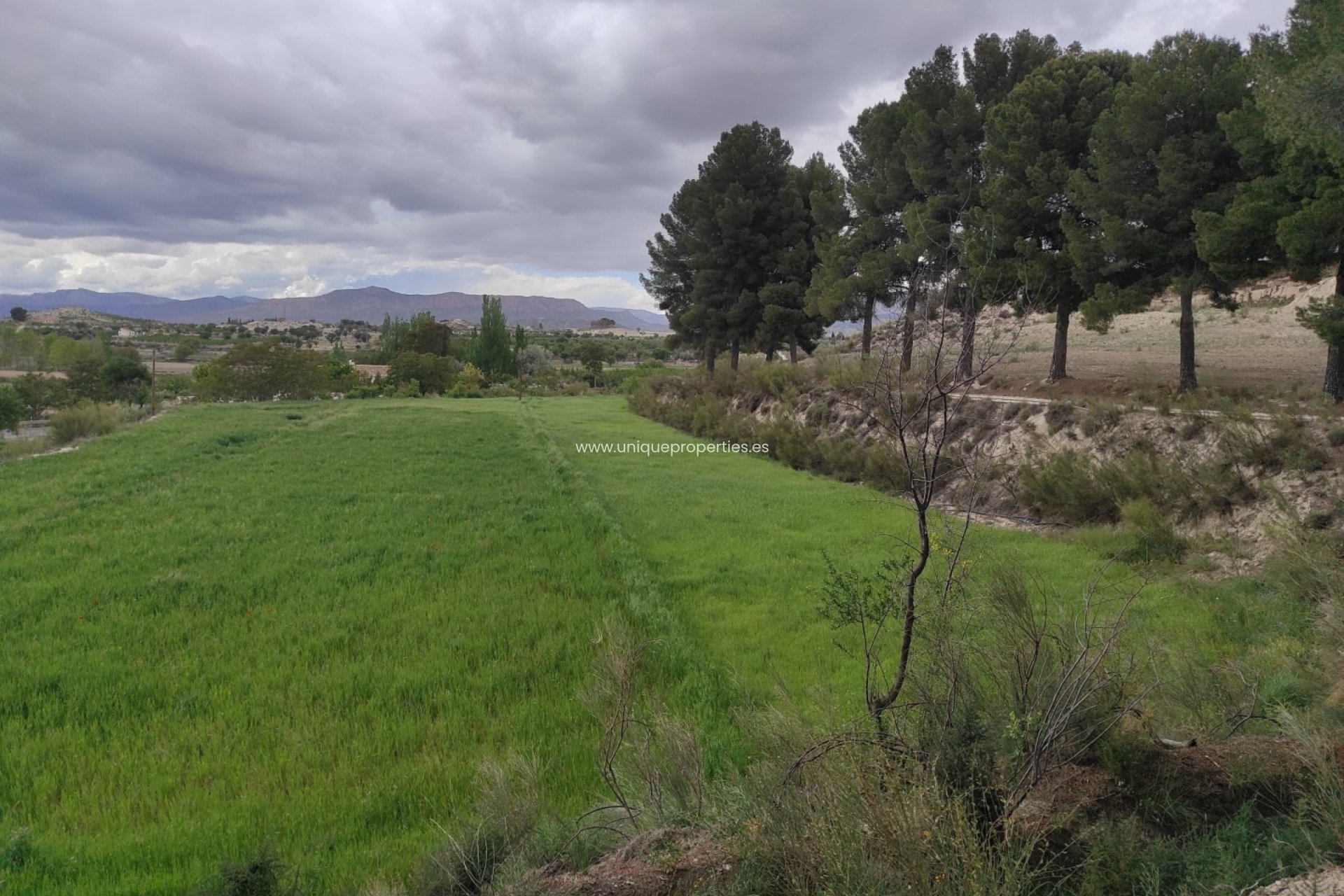 Herverkoop - Cortijo -
Huescar