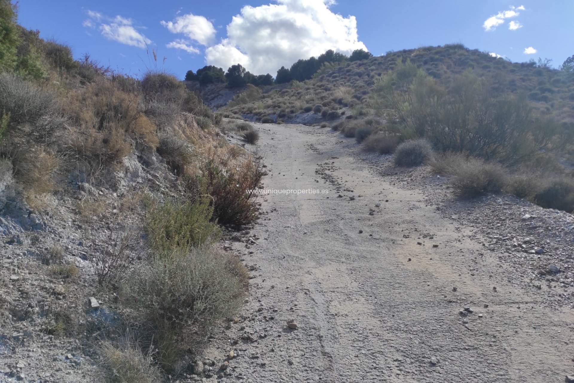 Herverkoop - Land -
Bayarque