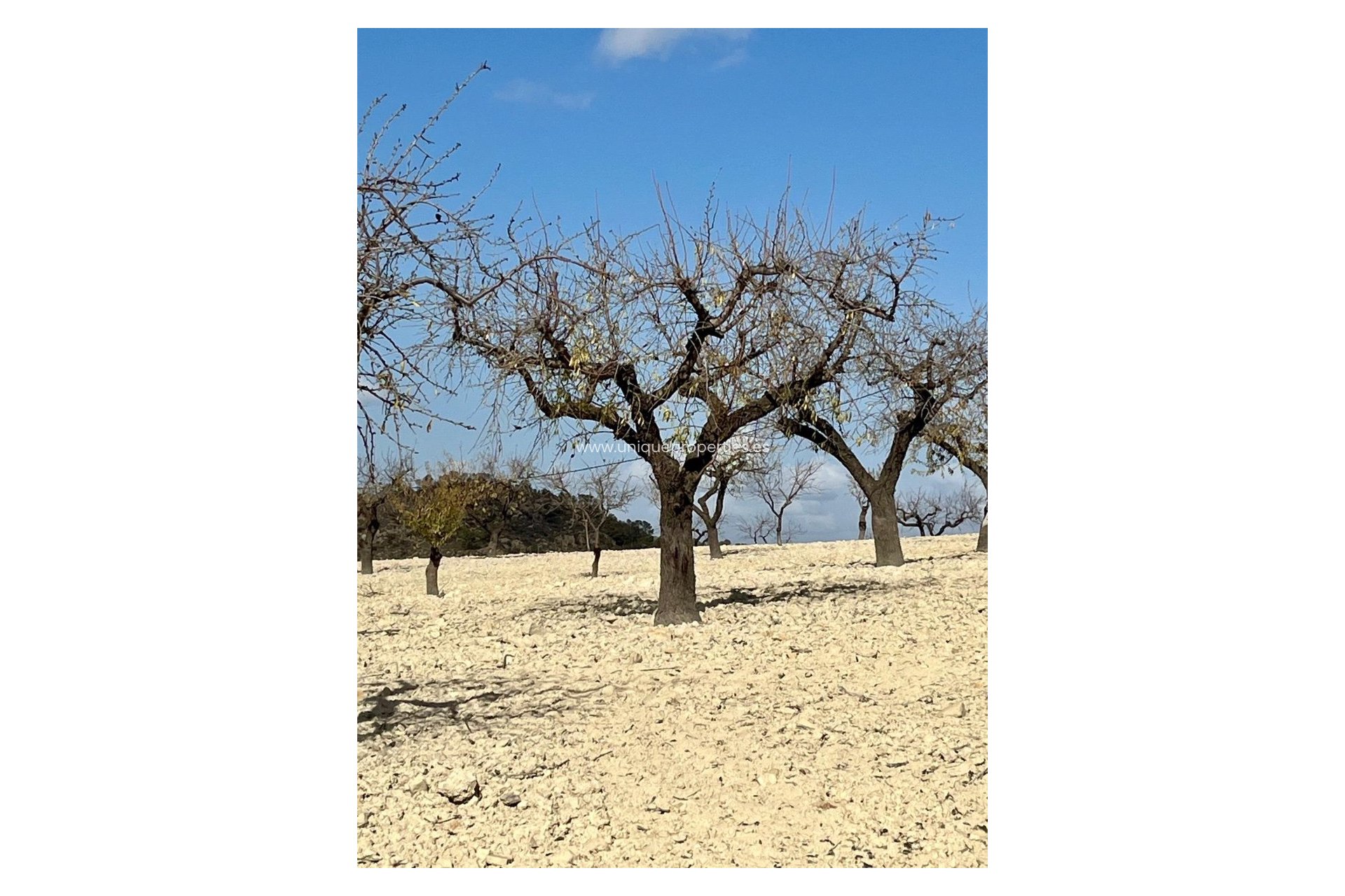 Herverkoop - Land -
Bullas - Costa Calida