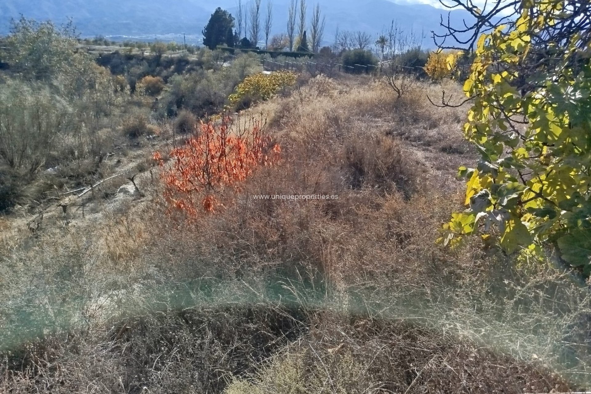 Herverkoop - Land -
Lucar