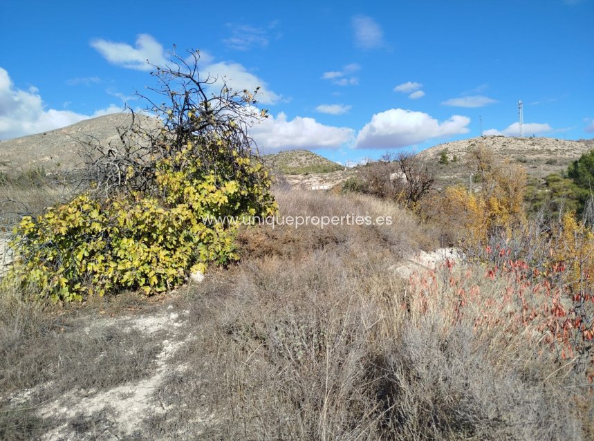 Herverkoop - Land -
Lucar