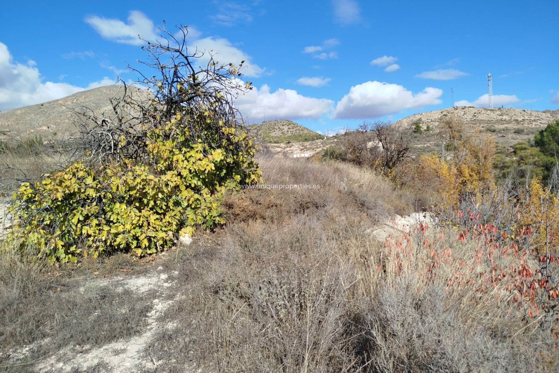 Herverkoop - Land -
Lucar