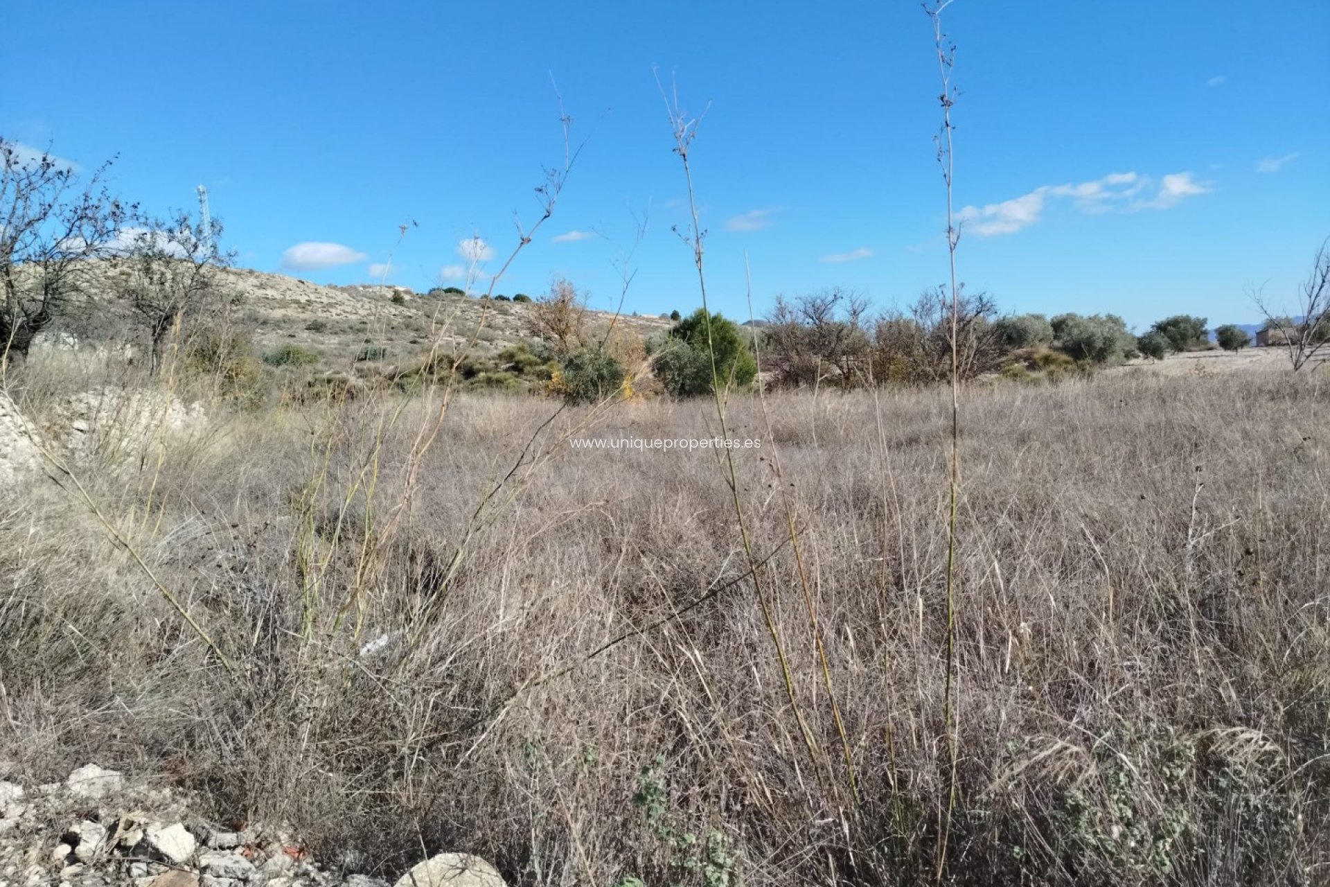 Herverkoop - Land -
Lucar