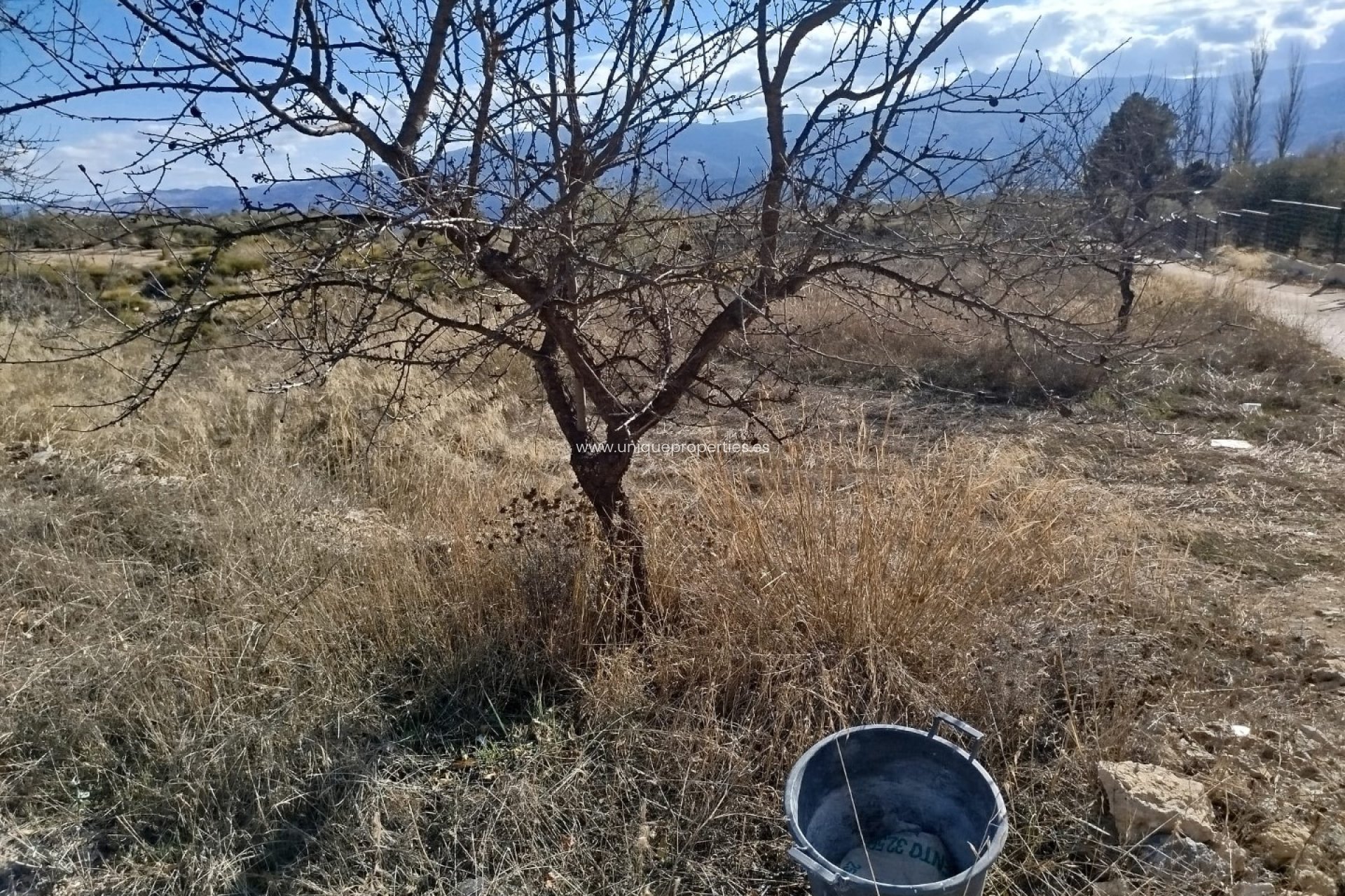 Herverkoop - Land -
Lucar
