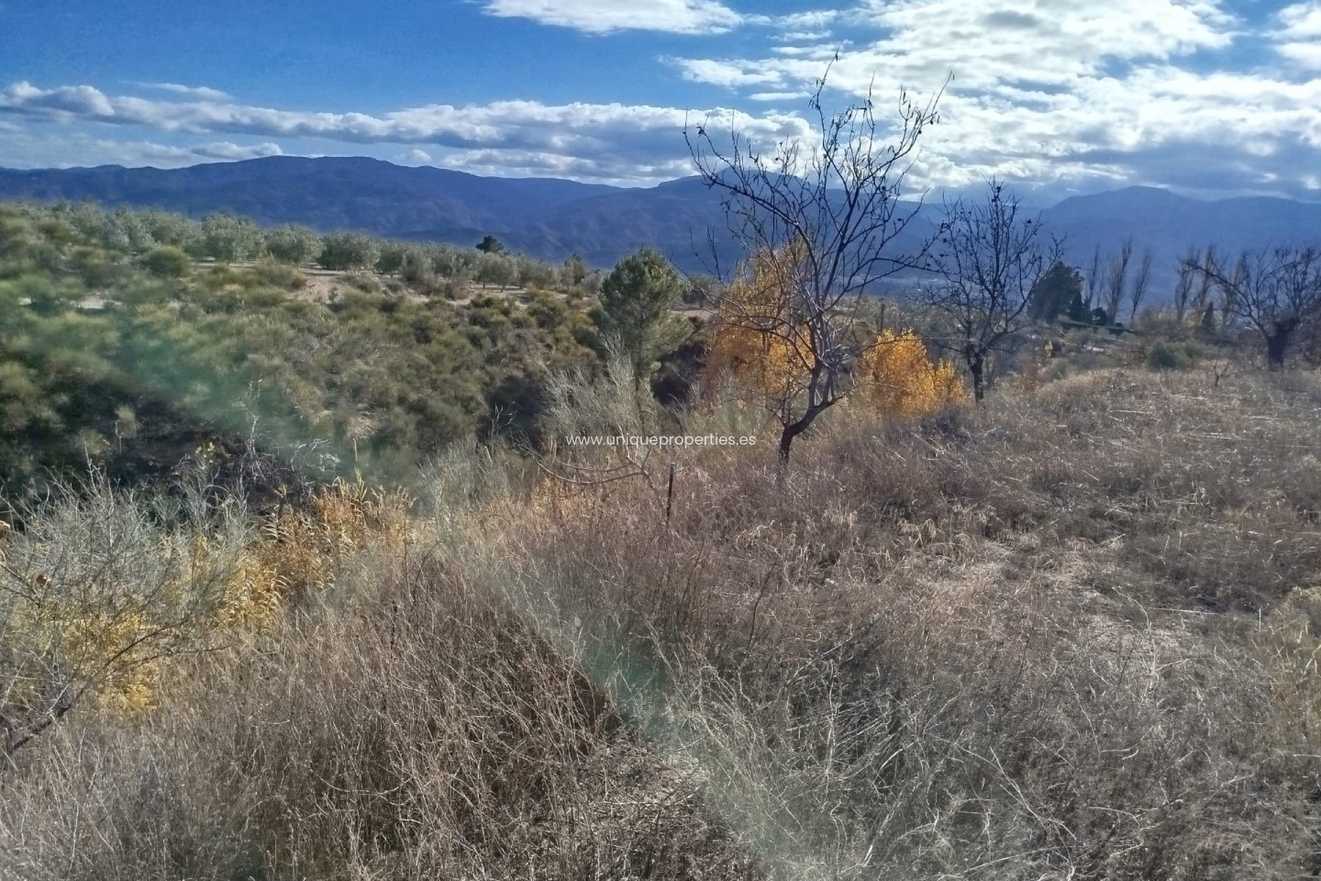 Herverkoop - Land -
Lucar