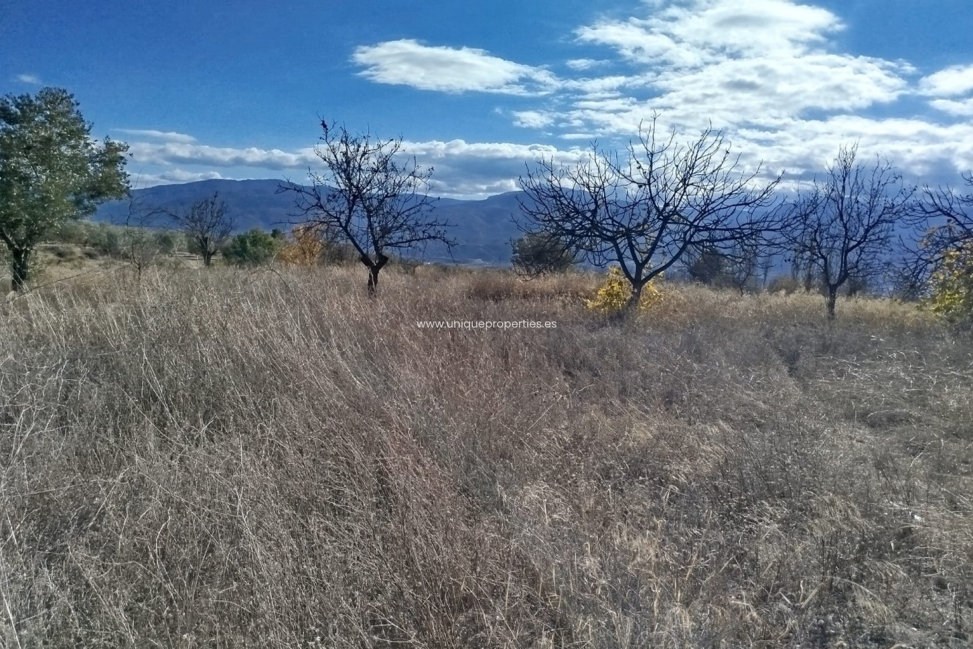 Herverkoop - Land -
Lucar