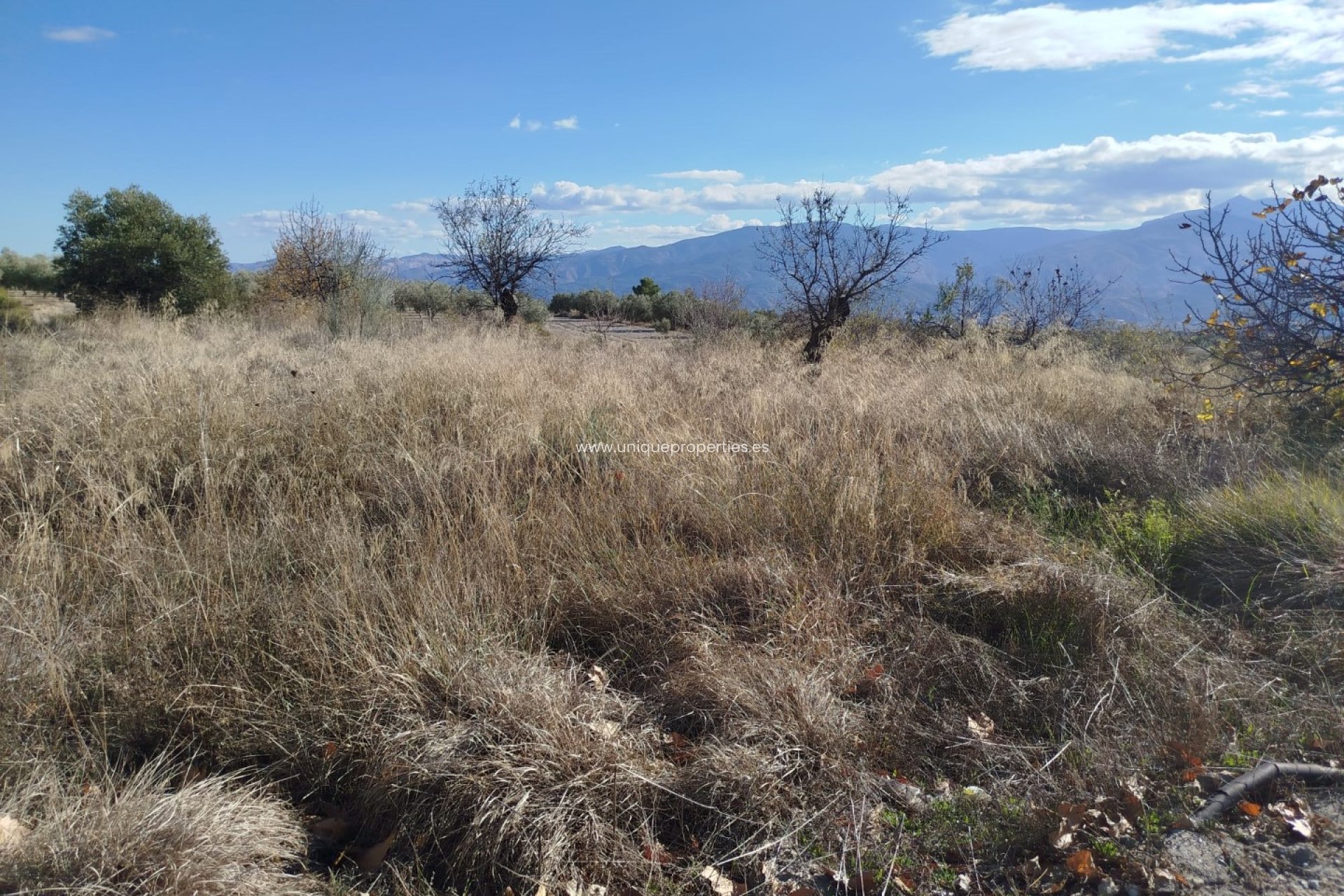 Herverkoop - Land -
Lucar