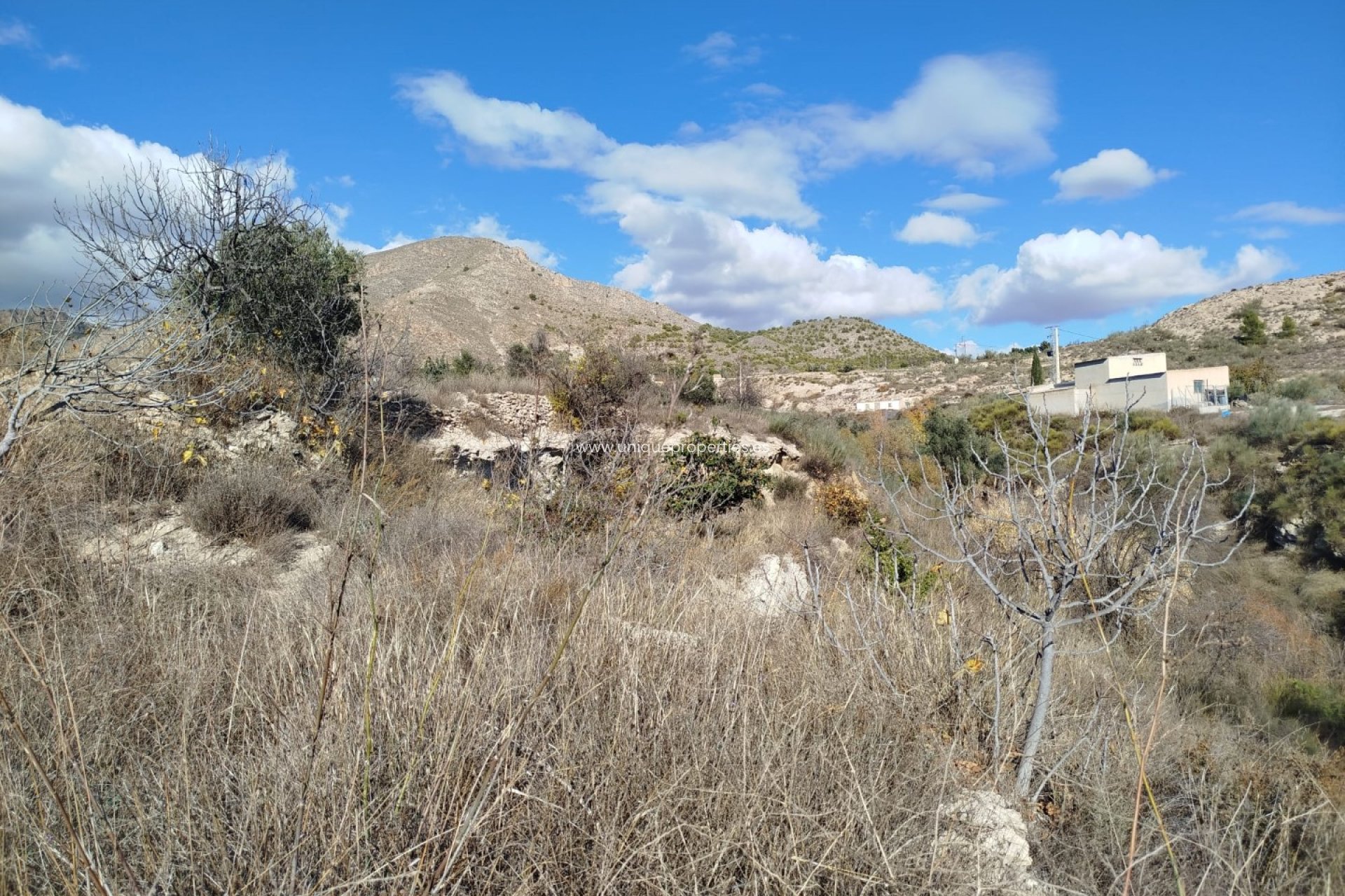 Herverkoop - Land -
Lucar