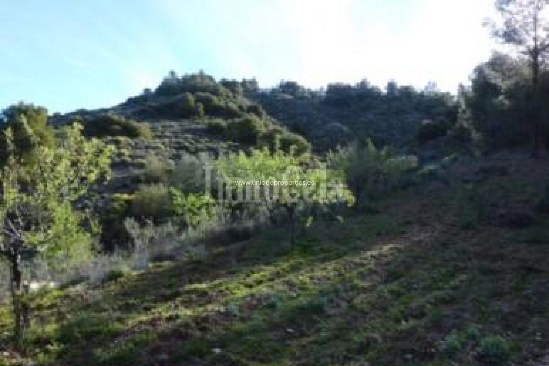 Herverkoop - Land -
Purchena