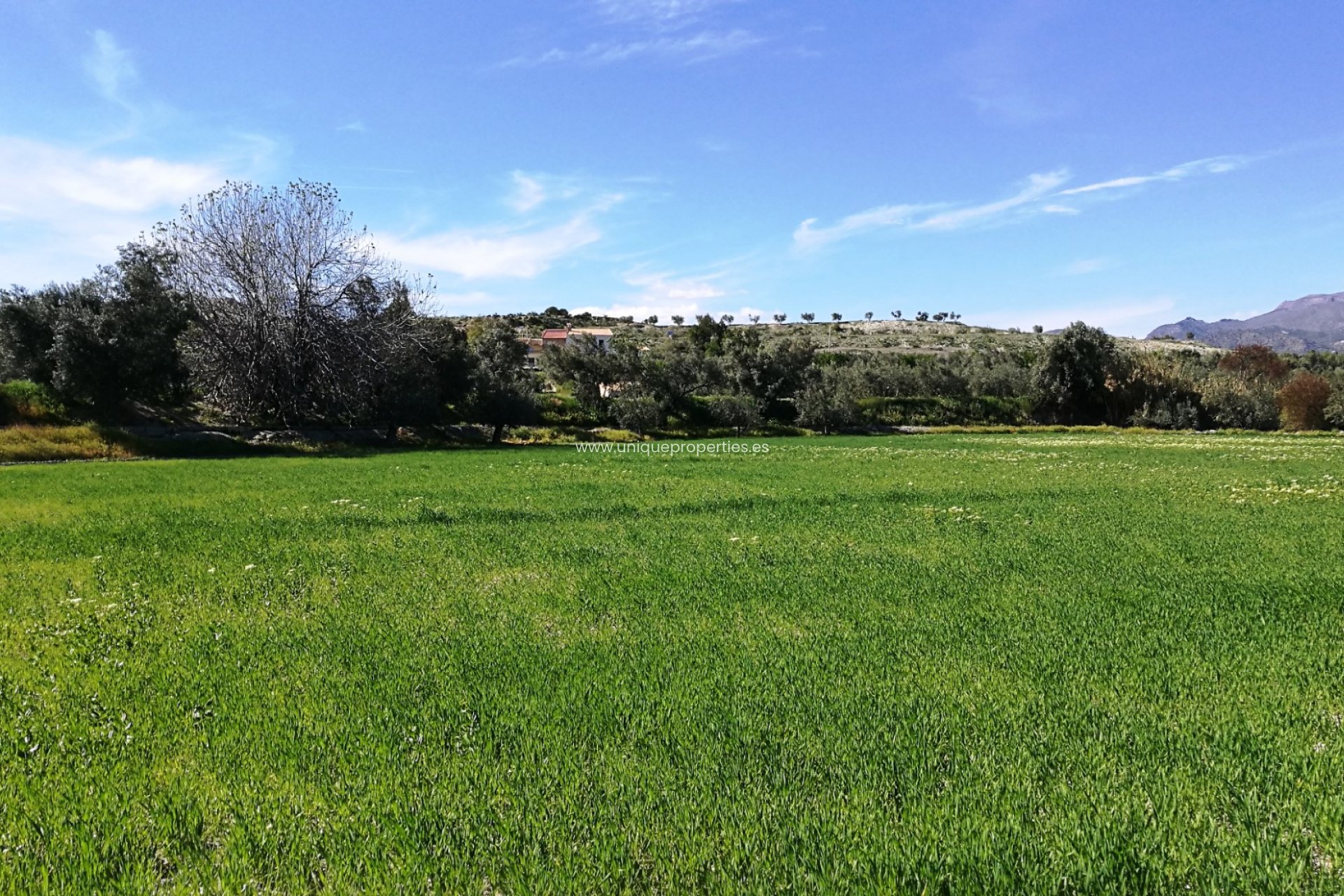 Herverkoop - Land -
Tijola
