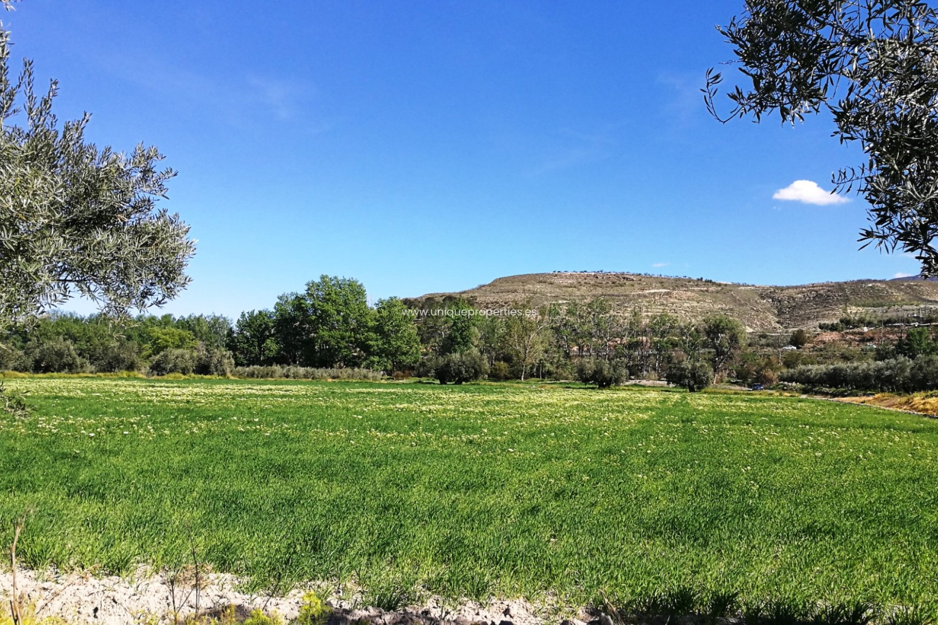 Herverkoop - Land -
Tijola