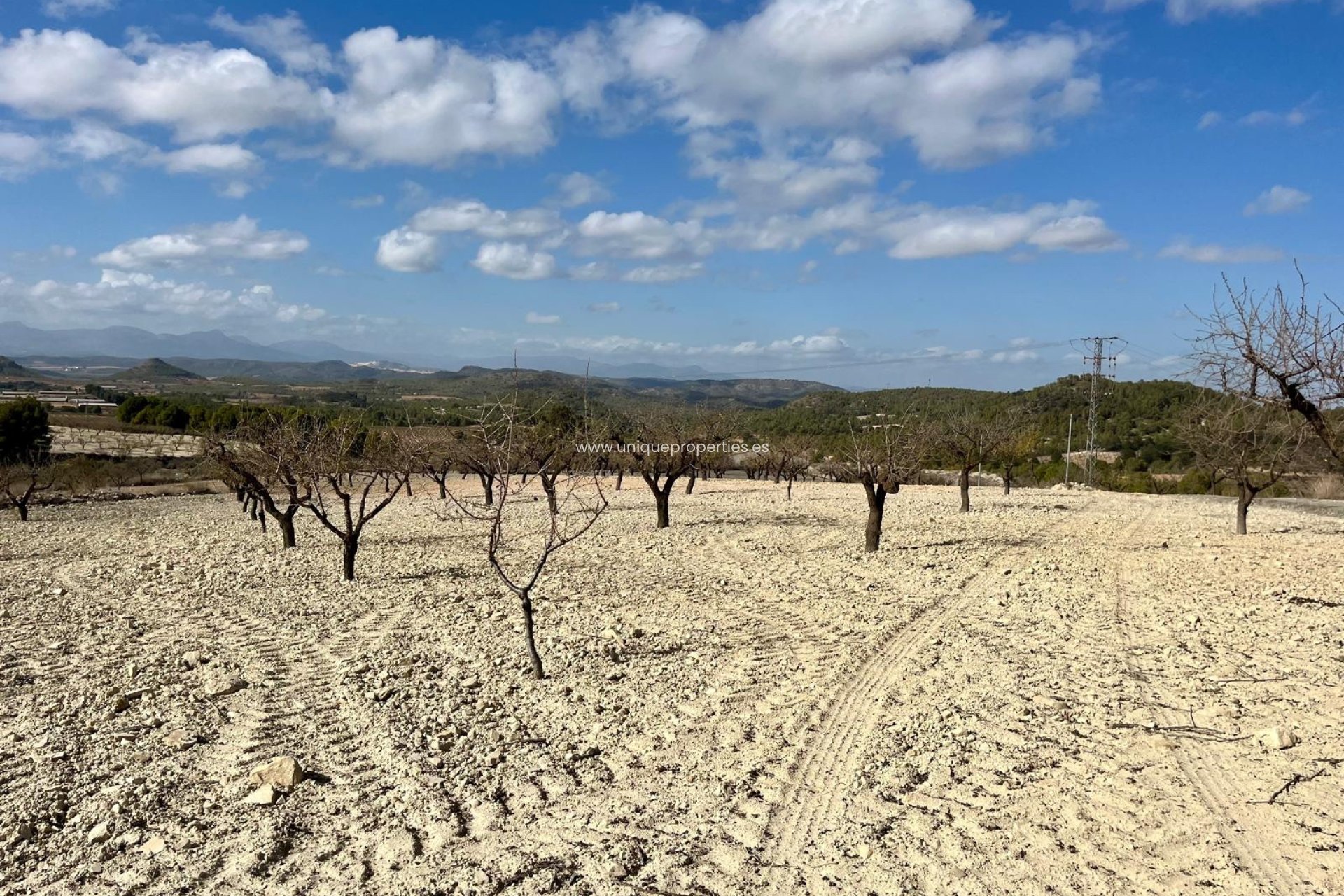 Herverkoop - Perceel / Grond -
Bullas - Costa Calida