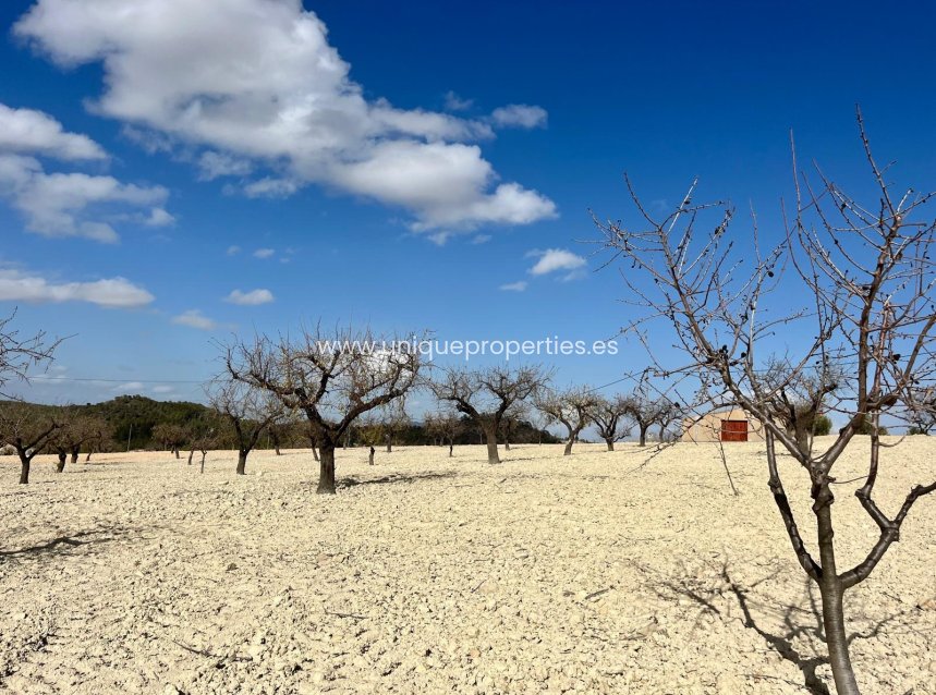 Herverkoop - Perceel / Grond -
Bullas - Costa Calida