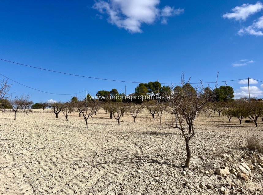 Herverkoop - Perceel / Grond -
Bullas - Costa Calida