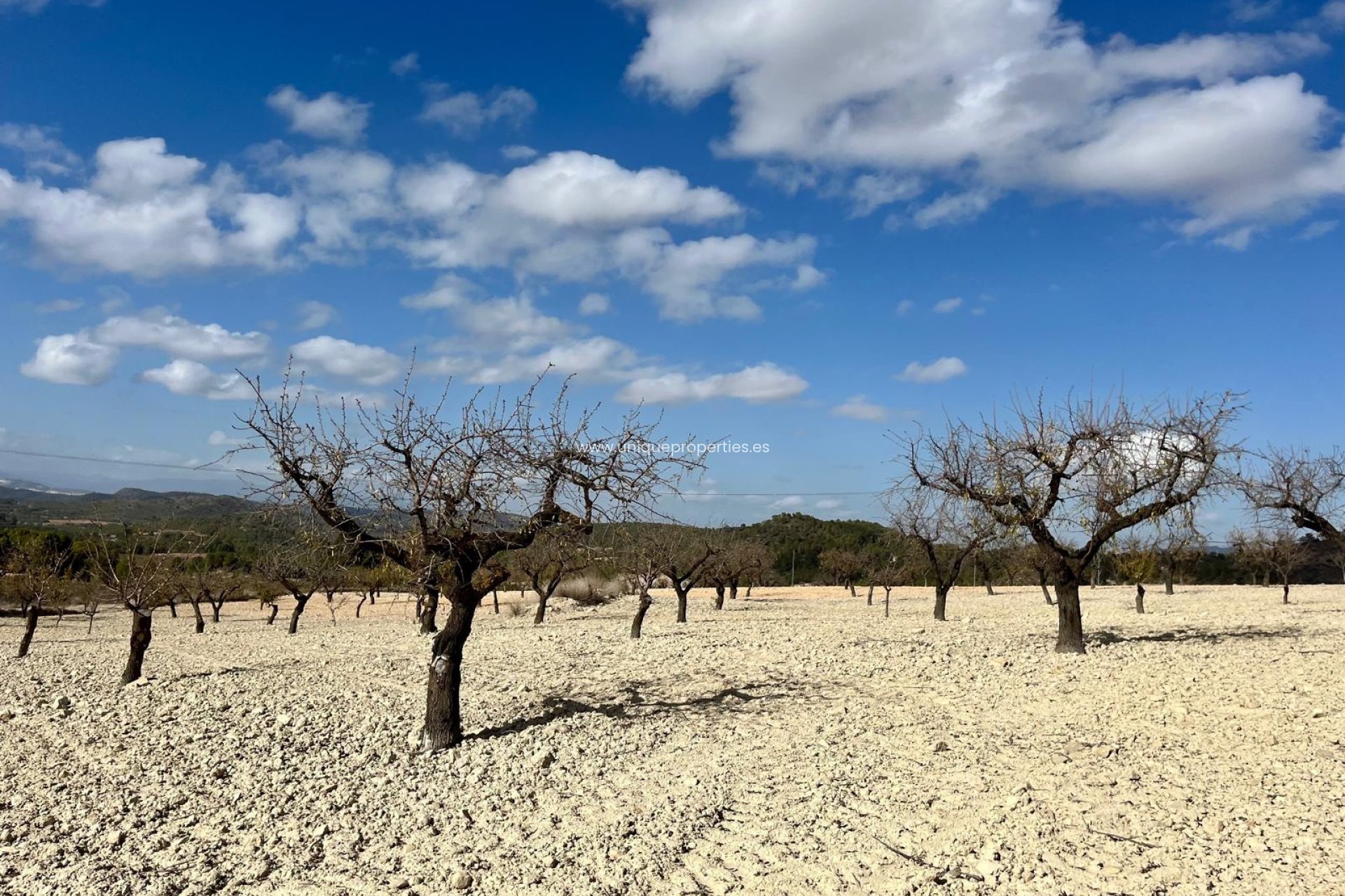 Herverkoop - Perceel / Grond -
Bullas - Costa Calida