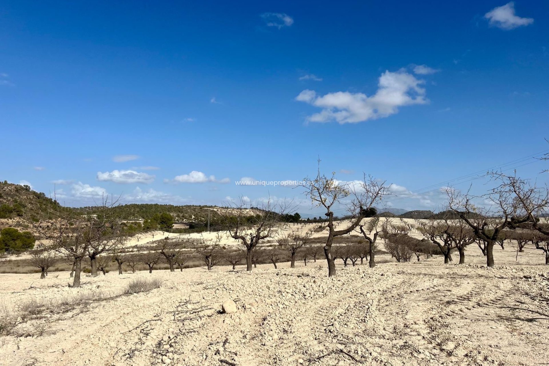 Herverkoop - Perceel / Grond -
Bullas - Costa Calida