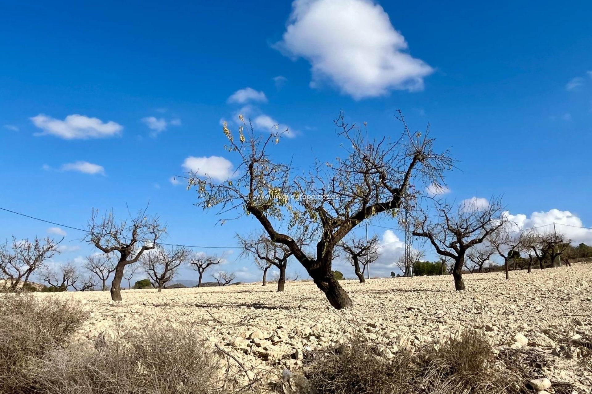 Herverkoop - Perceel / Grond -
Bullas - Costa Calida