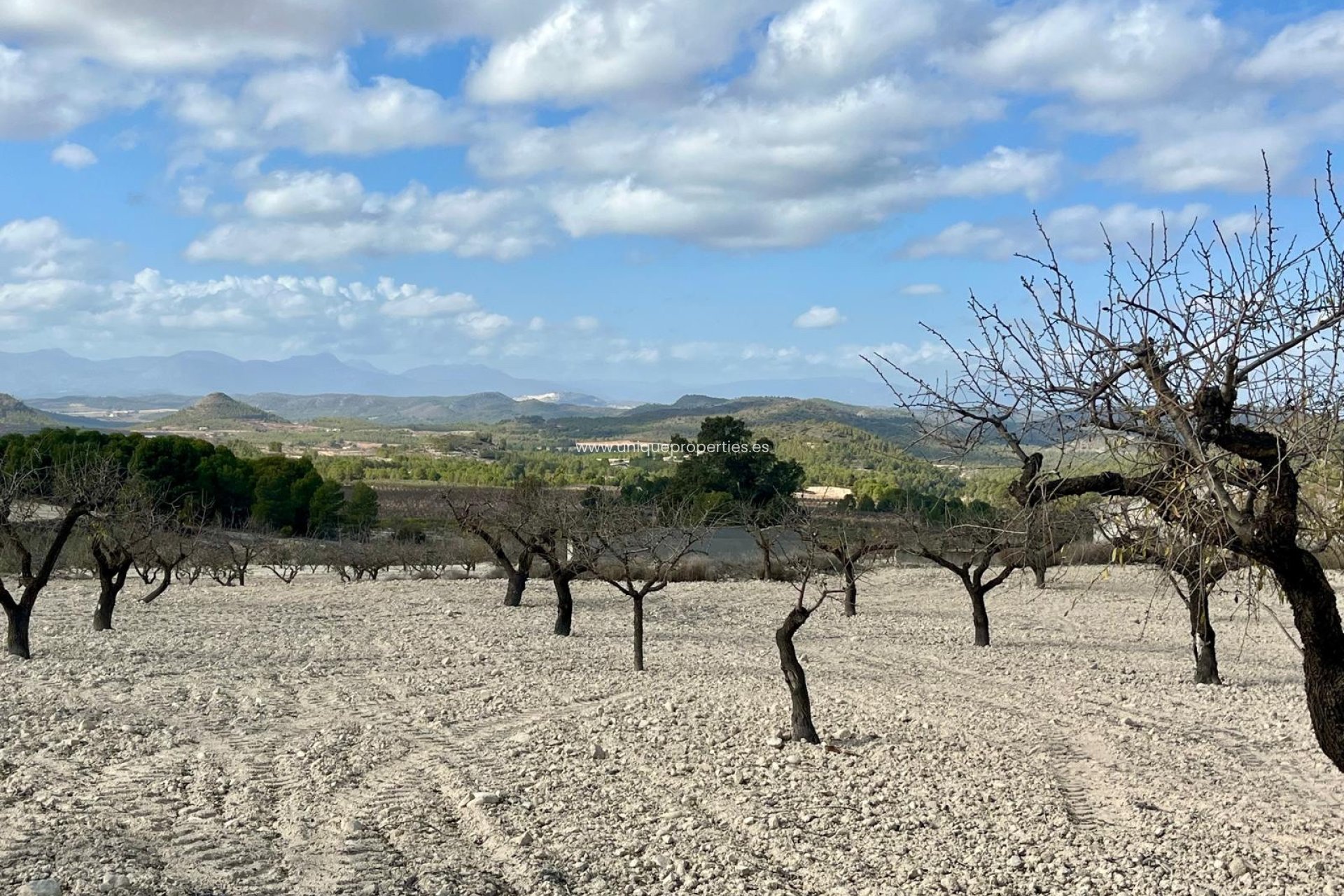 Herverkoop - Perceel / Grond -
Bullas - Costa Calida