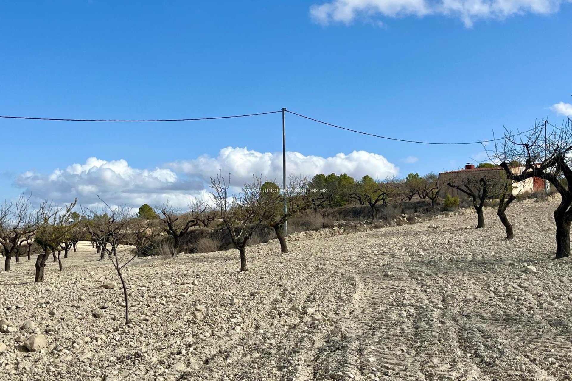 Herverkoop - Perceel / Grond -
Bullas - Costa Calida