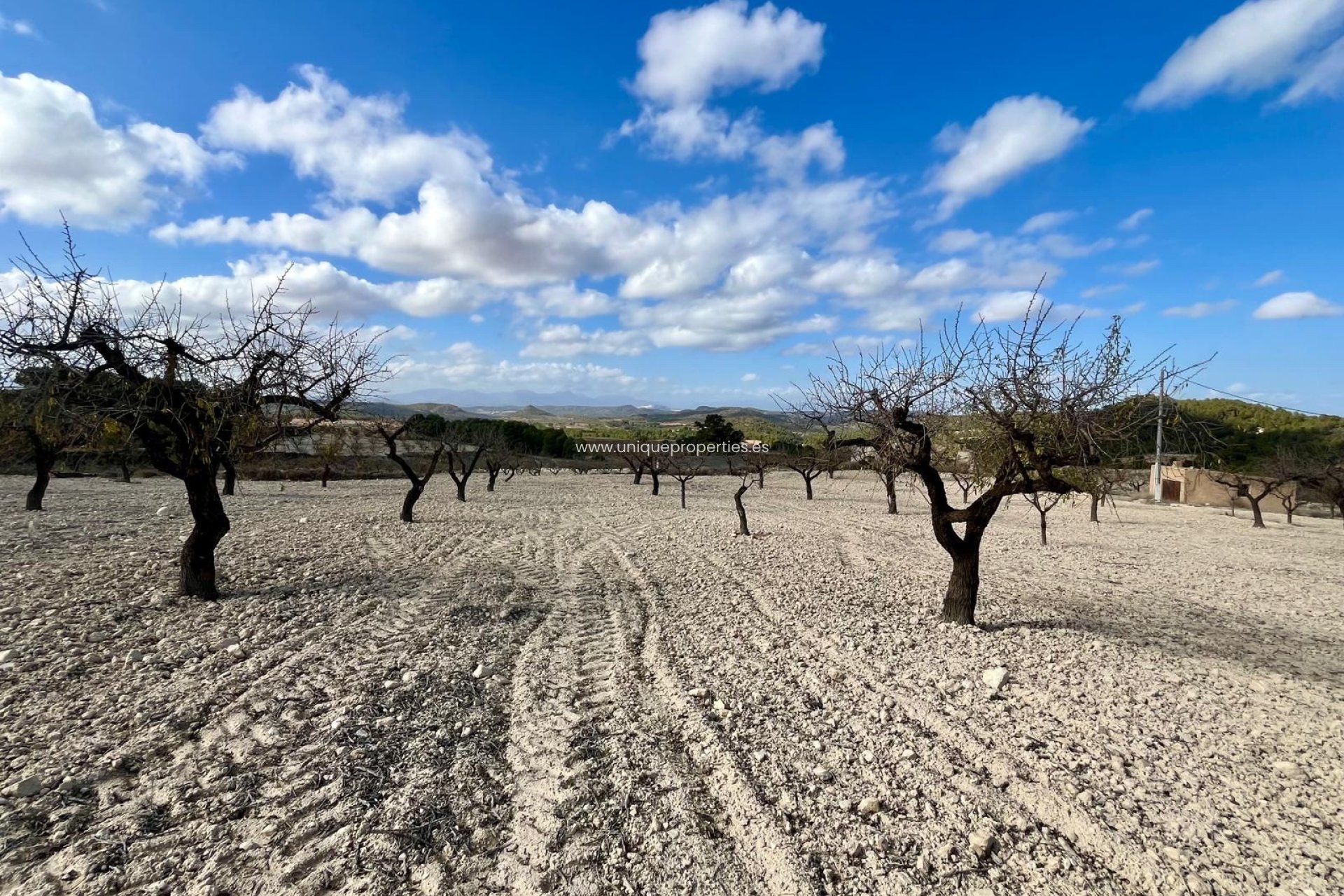 Herverkoop - Perceel / Grond -
Bullas - Costa Calida