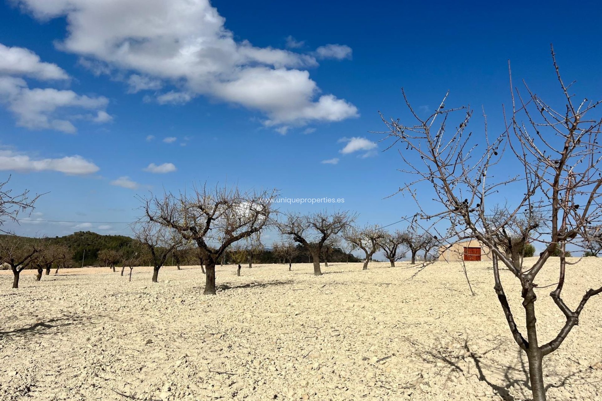 Herverkoop - Perceel / Grond -
Bullas - Costa Calida