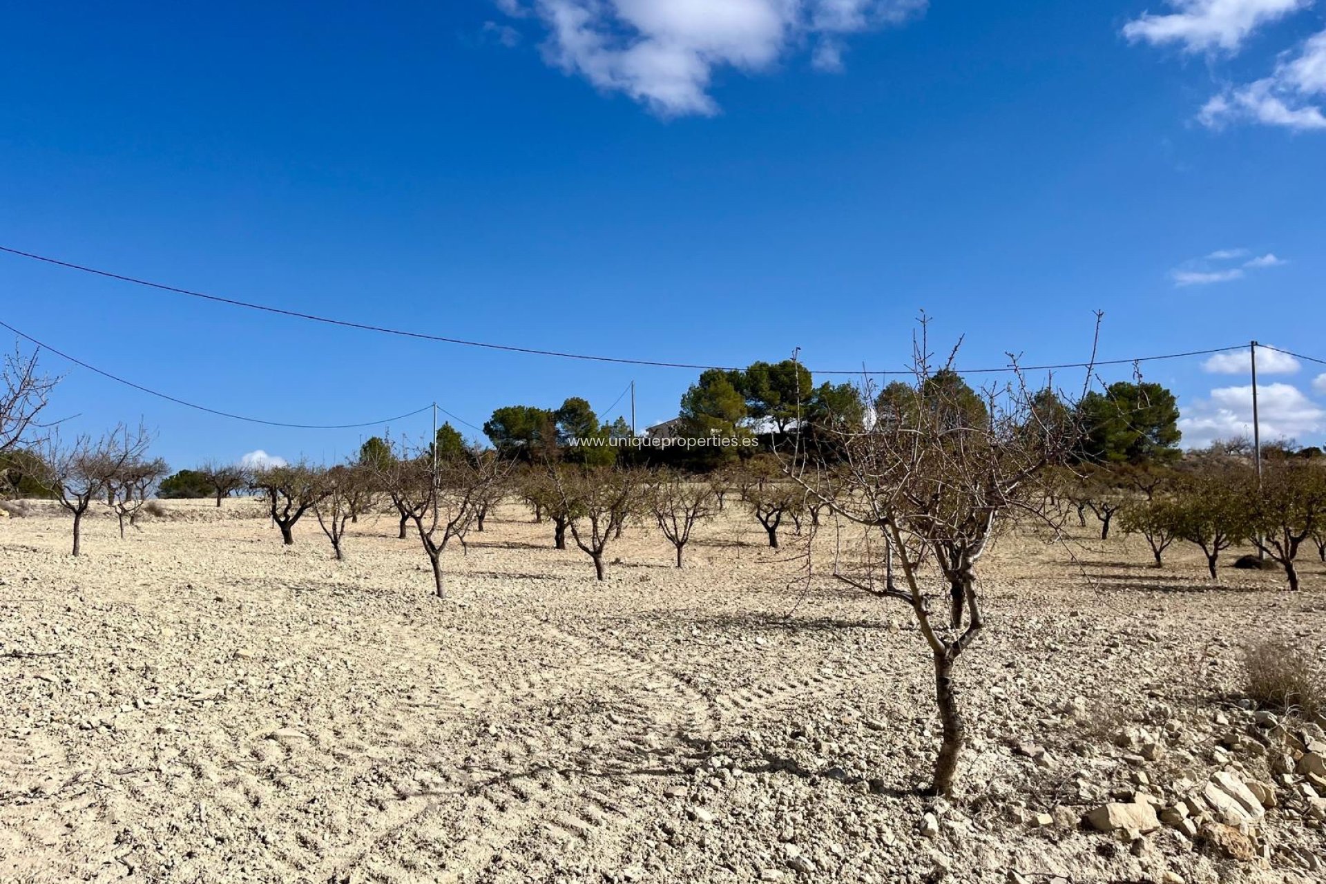 Herverkoop - Perceel / Grond -
Bullas - Costa Calida