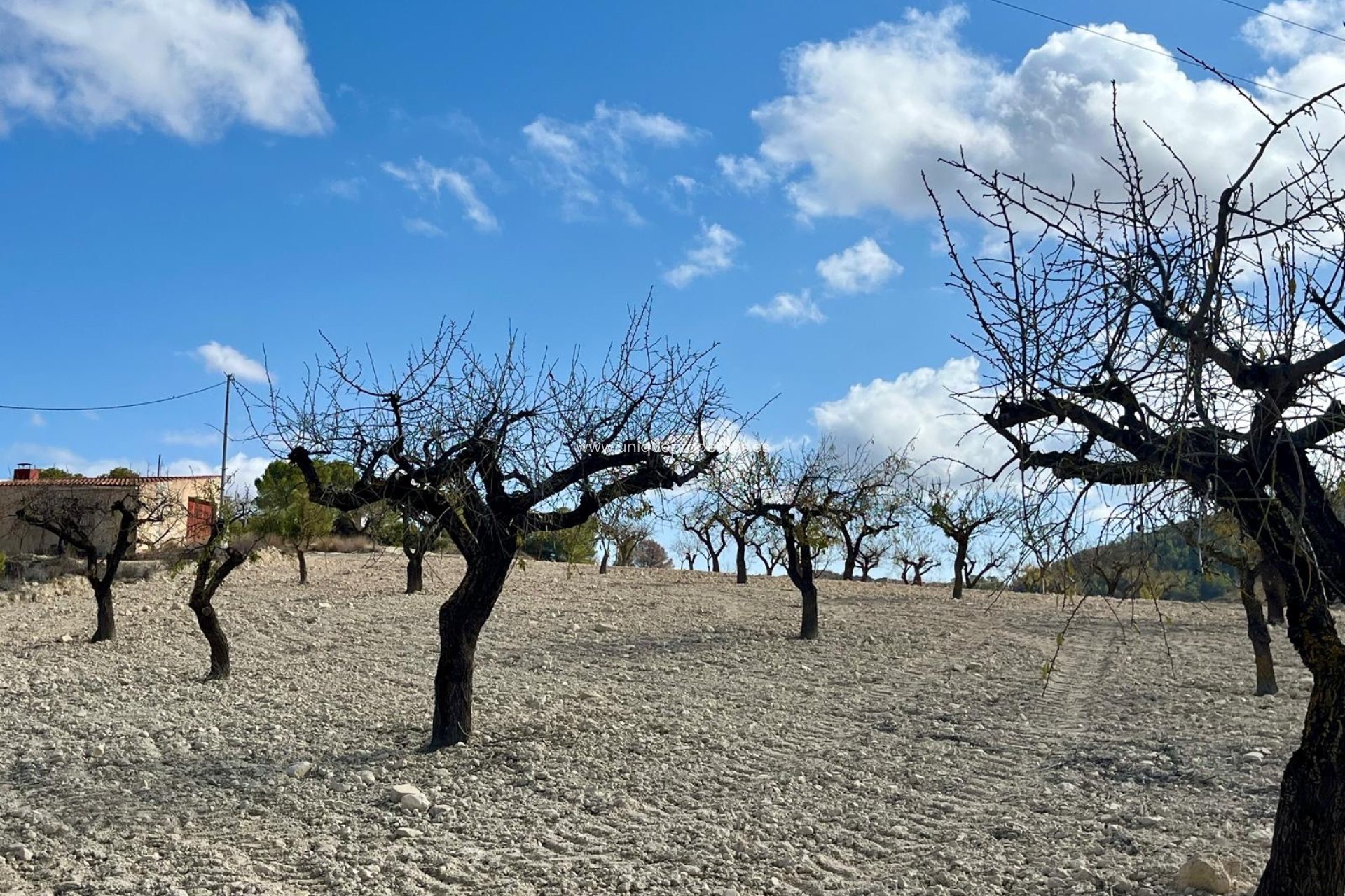 Herverkoop - Perceel / Grond -
Bullas - Costa Calida