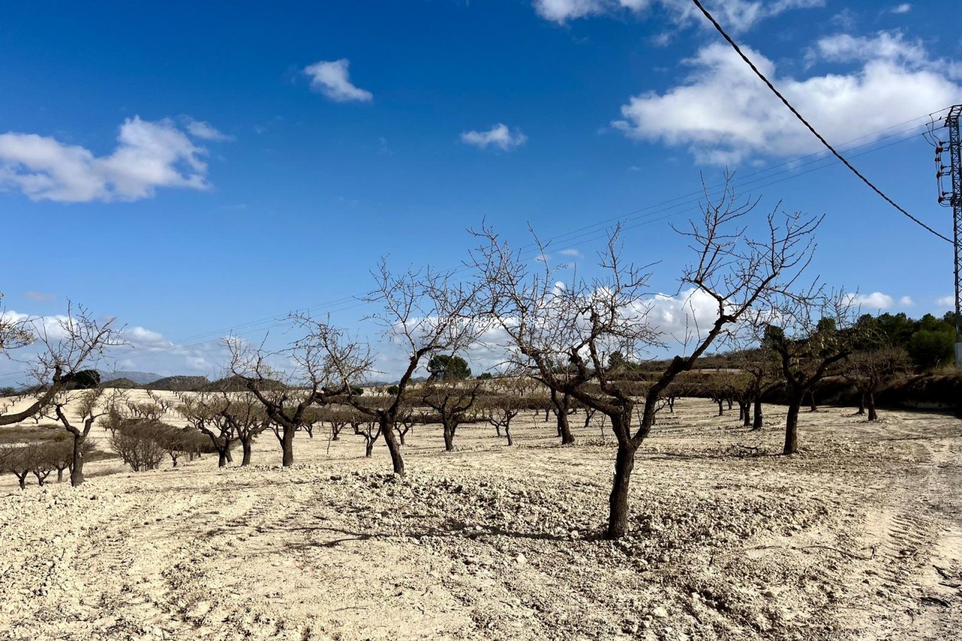 Herverkoop - Perceel / Grond -
Bullas - Costa Calida