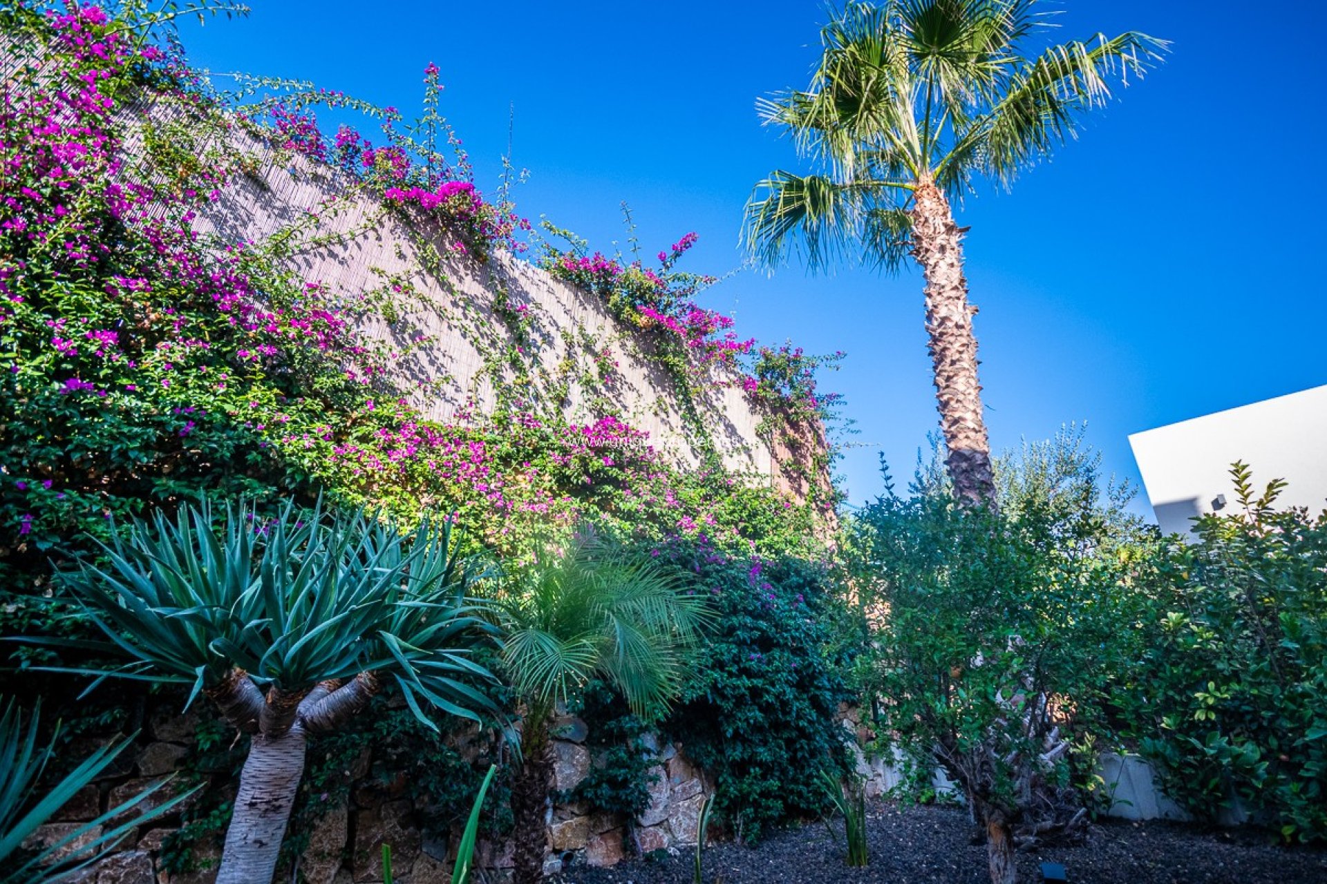 Herverkoop - Villa -
Algorfa - LA FINCA GOLF / ALGORFA