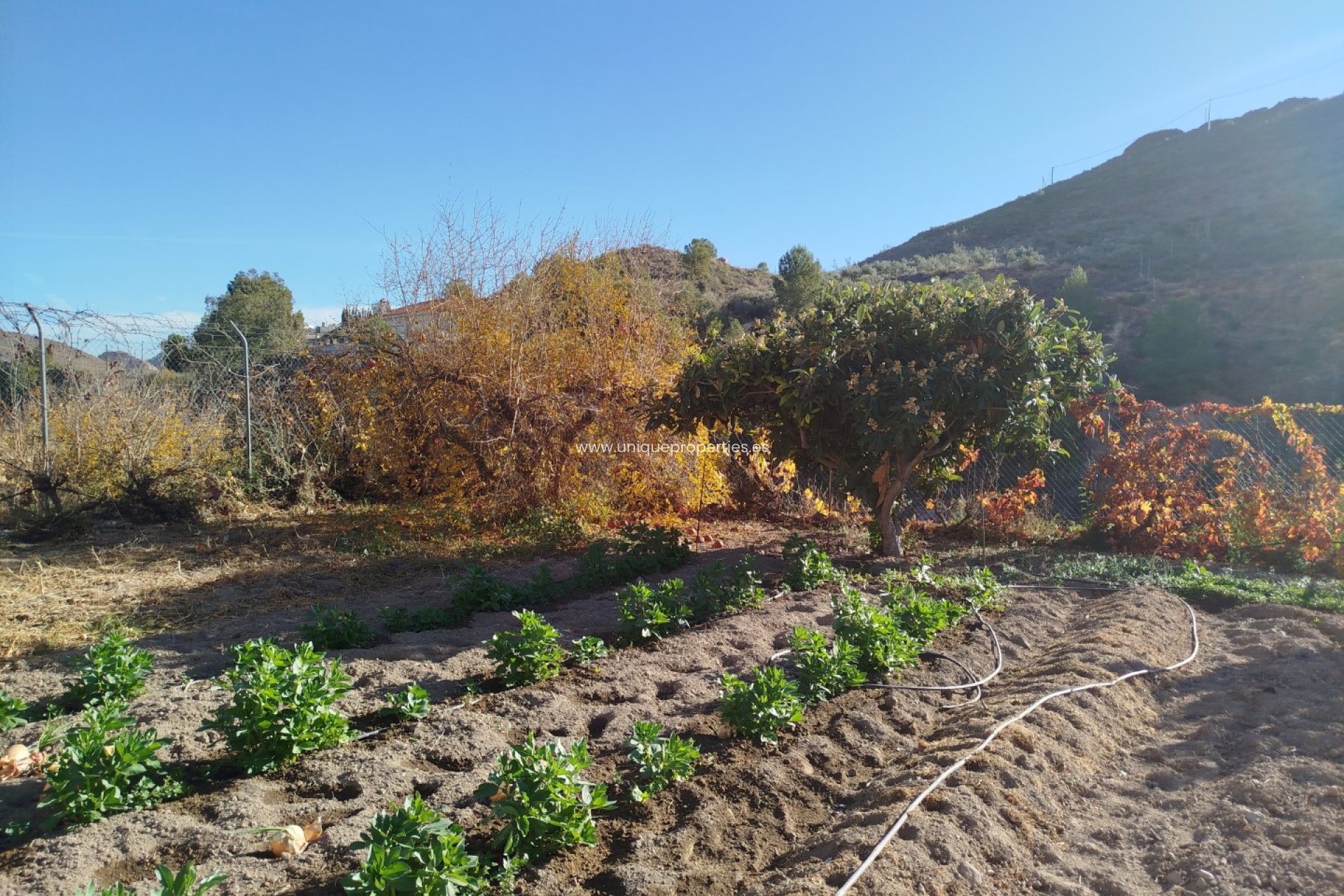 Herverkoop - Villa -
Macael