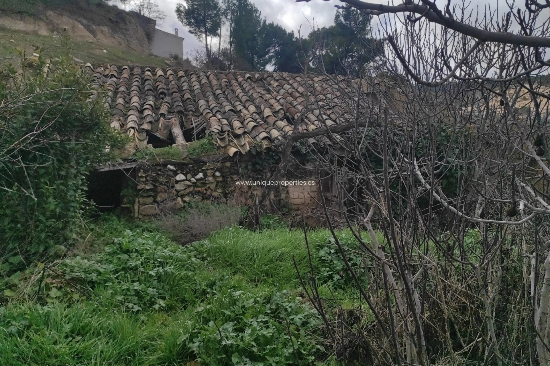 Herverkoop - Village House -
Cortes de Baza