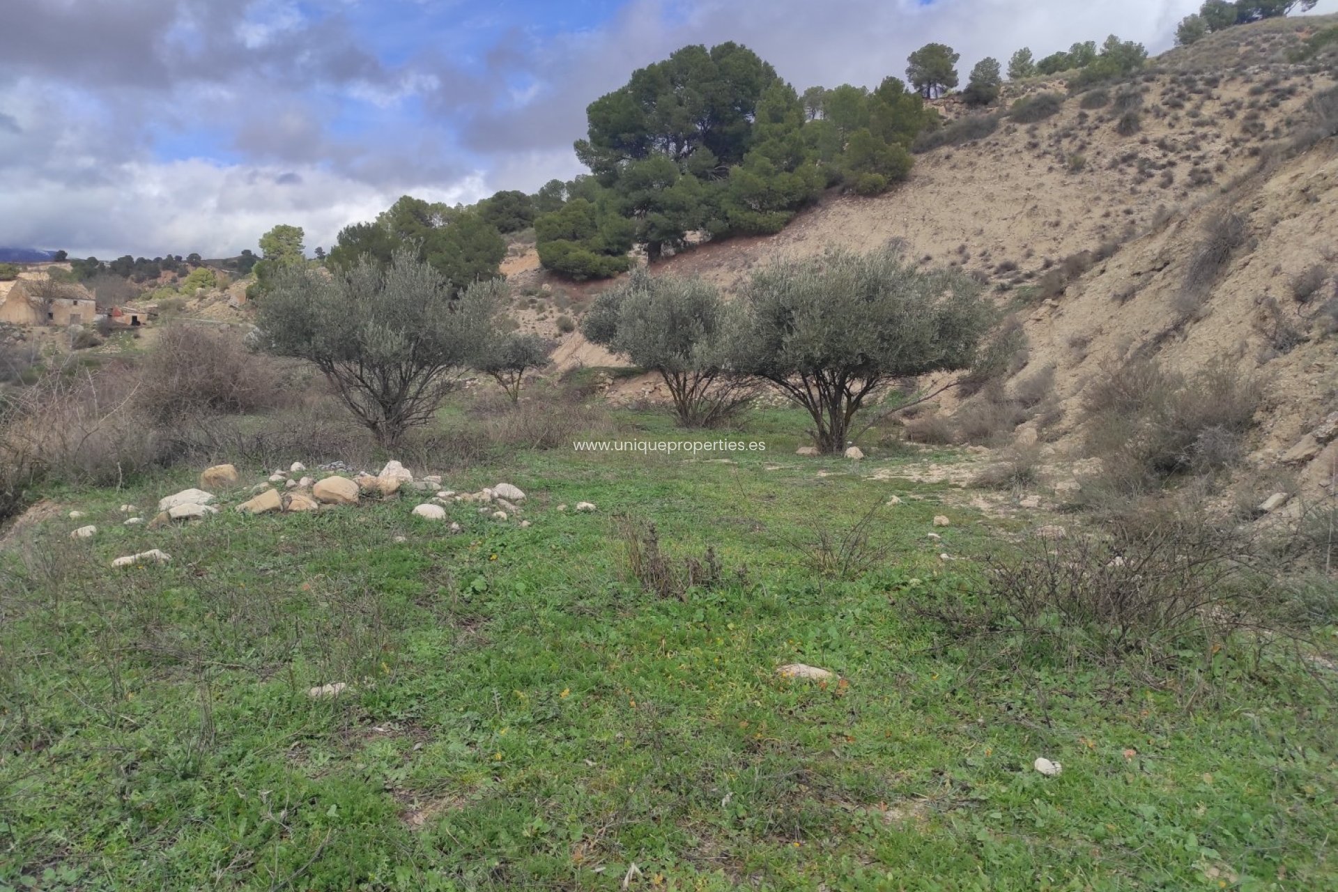 Herverkoop - Village House -
Cortes de Baza