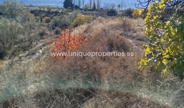 Land - Herverkoop - Lucar -
                Lucar