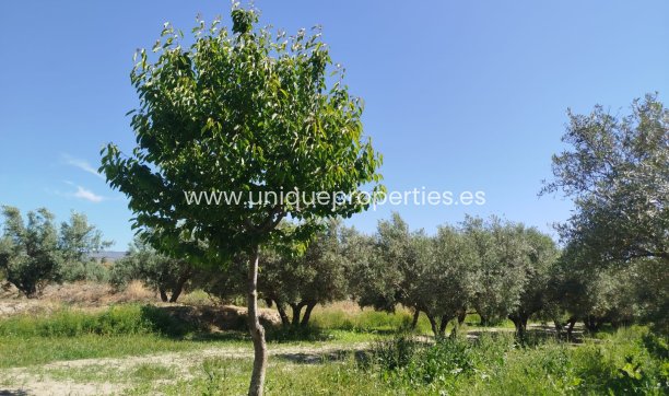 Land - Resale - Armuna de Almanzora -
                Armuna de Almanzora