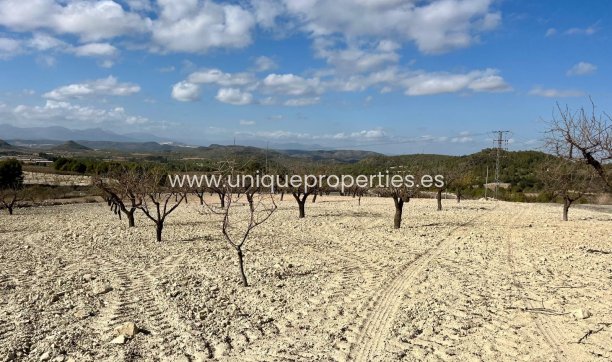 Land - Resale -
            Bullas - JS-79579