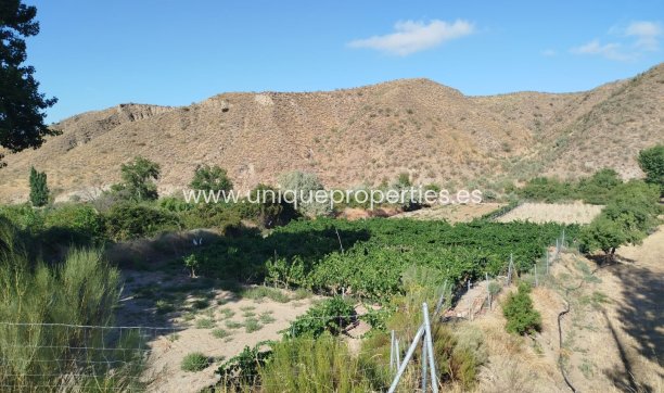 Land - Resale - Caniles -
                Caniles