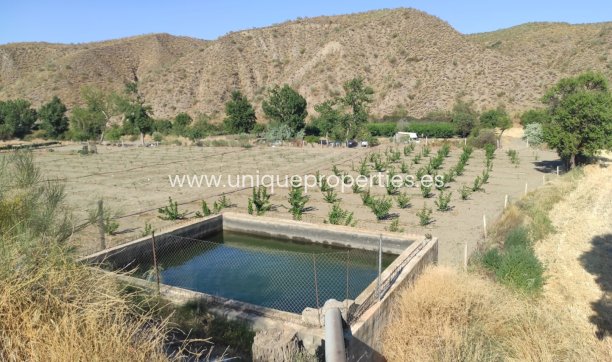 Land - Resale - Caniles -
                Caniles