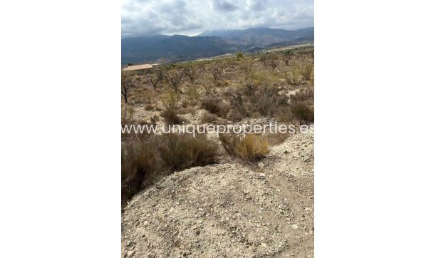 Land - Resale - Urracal -
                Urracal