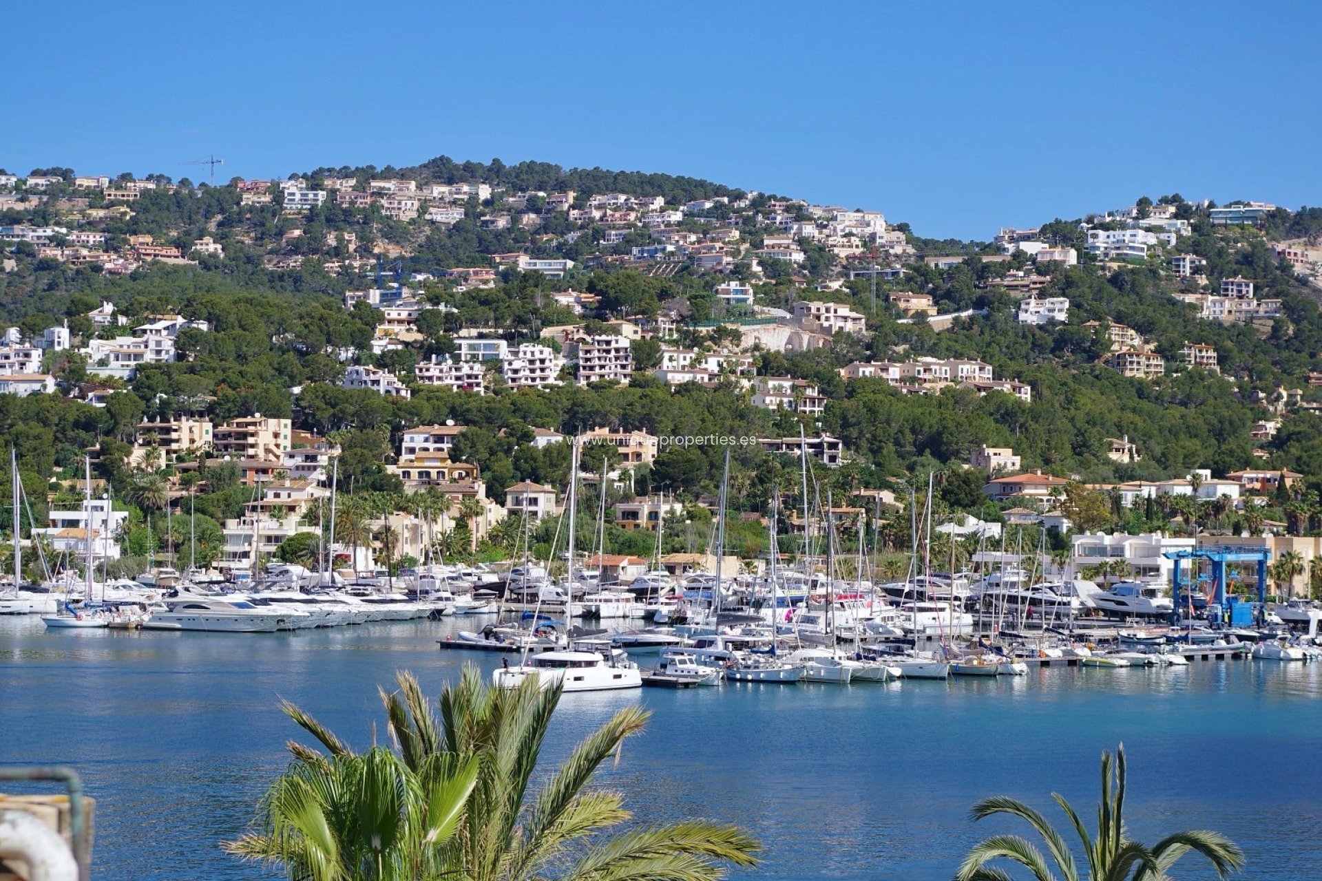 Resale - Apartment -
Port d'Andratx - Andratx