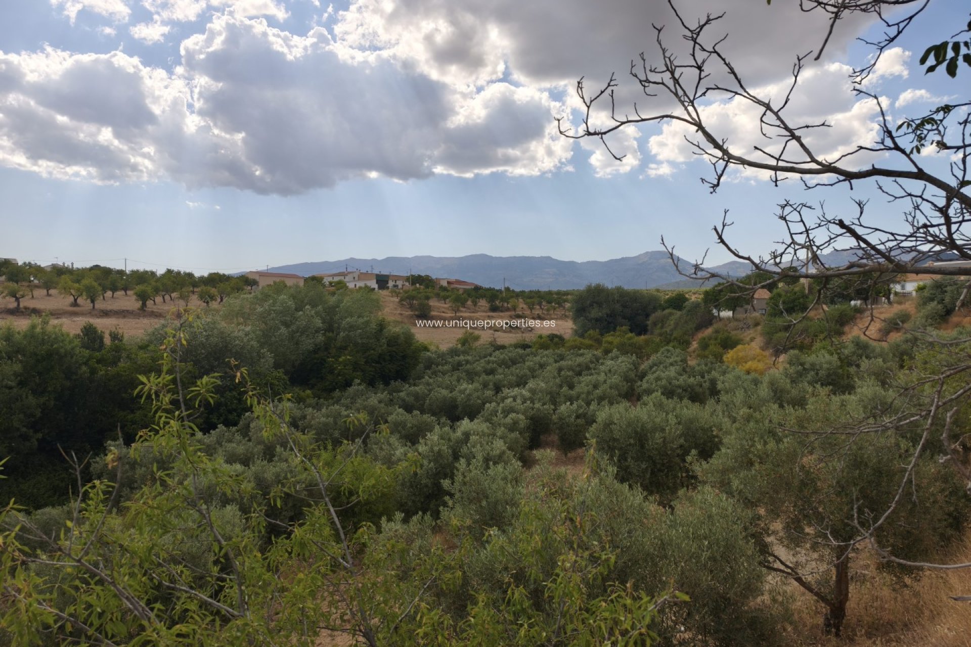 Resale - Cave House -
Castril