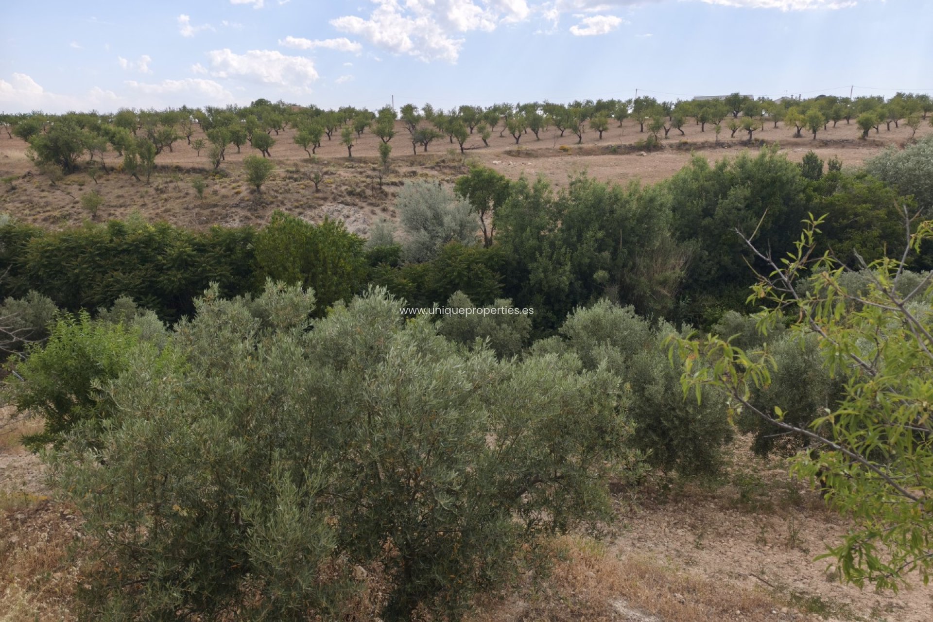 Resale - Cave House -
Castril