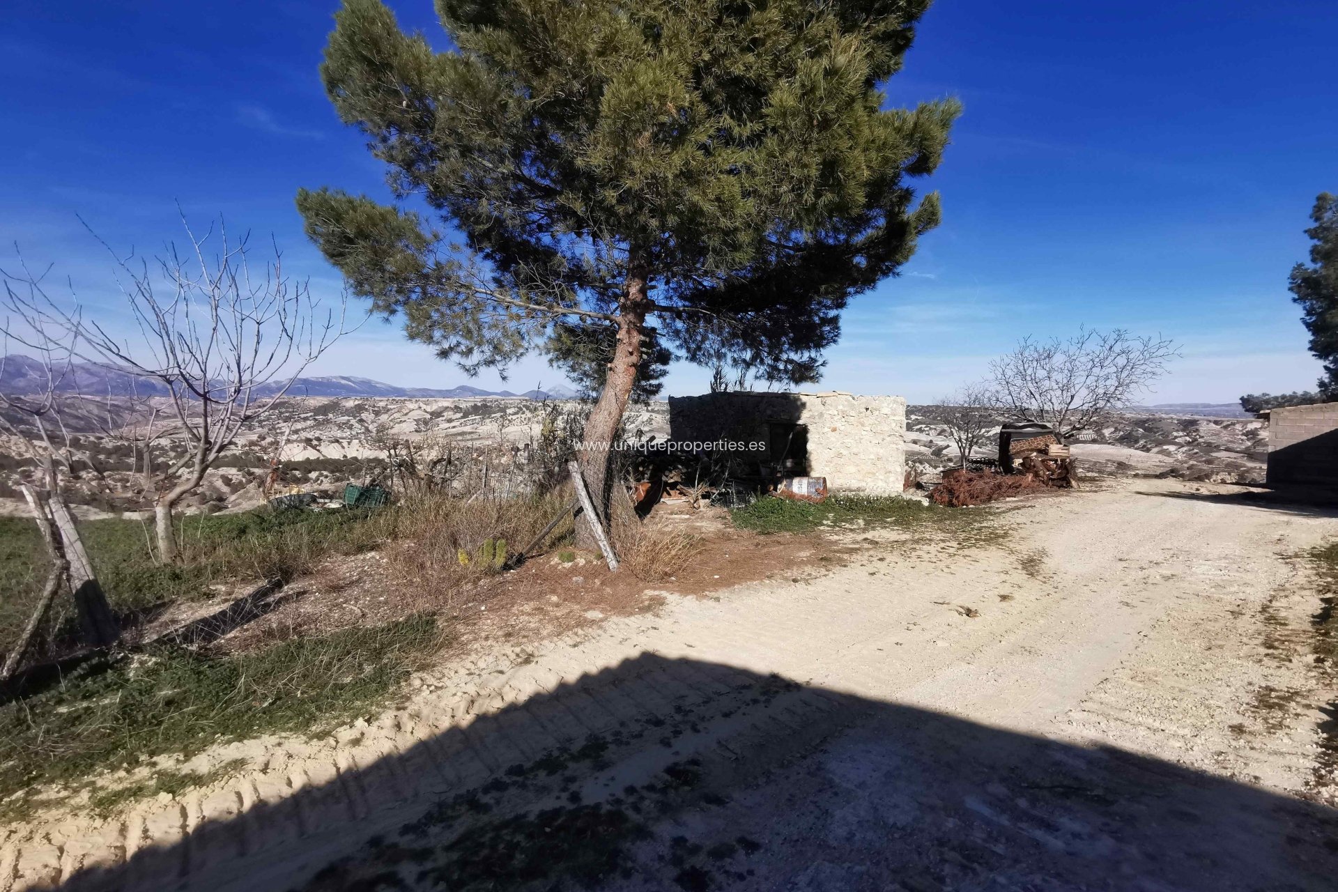 Resale - Cave House -
Cortes de Baza